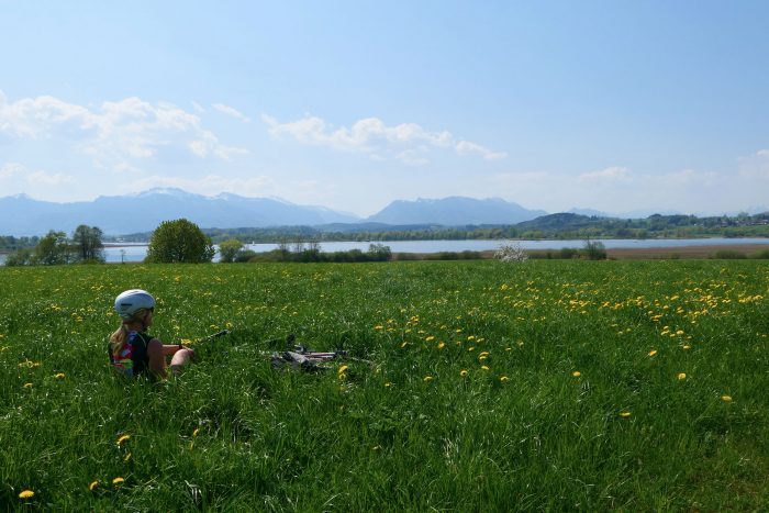 Sommerwiesen-Angebot zum Schildhauer